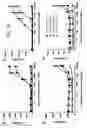 Fig. 20 - BISPECIFIC T CELL ACTIVATING ANTIGEN BINDING MOLECULES