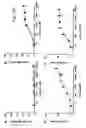 Fig. 24 - BISPECIFIC T CELL ACTIVATING ANTIGEN BINDING MOLECULES