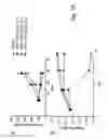 Fig. 30 - BISPECIFIC T CELL ACTIVATING ANTIGEN BINDING MOLECULES
