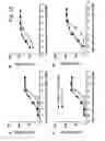 Fig. 37 - BISPECIFIC T CELL ACTIVATING ANTIGEN BINDING MOLECULES