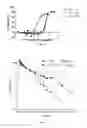 Fig. 09 - Anti-CD20 antibody