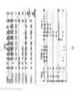 Fig. 02 - Multispecific antibodies
