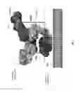 Fig. 04 - Anti-HER2 antibodies and immunoconjugates