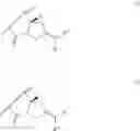 Fig. 28 - Anti-HER2 antibodies and immunoconjugates