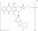 Fig. 41 - Anti-HER2 antibodies and immunoconjugates