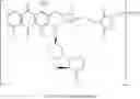 Fig. 46 - Anti-HER2 antibodies and immunoconjugates
