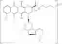 Fig. 48 - Anti-HER2 antibodies and immunoconjugates