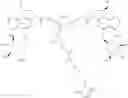 Fig. 70 - Anti-HER2 antibodies and immunoconjugates