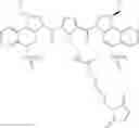 Fig. 74 - Anti-HER2 antibodies and immunoconjugates