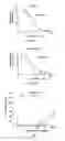 Fig. 06 - Antibody targeted to tissue factor, preparation method therefor, and use thereof