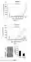 Fig. 07 - Antibody targeted to tissue factor, preparation method therefor, and use thereof