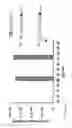 Fig. 04 - COMPOSITIONS AND METHODS FOR TREATMENT AND DETECTION OF CANCERS