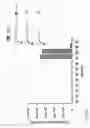 Fig. 06 - COMPOSITIONS AND METHODS FOR TREATMENT AND DETECTION OF CANCERS