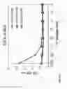 Fig. 33 - COMPOSITIONS AND METHODS FOR TREATMENT AND DETECTION OF CANCERS