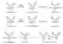 Fig. 01 - Site-specific crosslinking of antibodies
