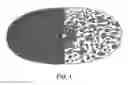 Fig. 02 - METHODS AND MATERIALS FOR GENERATING CONDUCTIVE CHANNELS WITHIN FRACTURE GEOMETRY