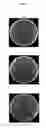 Fig. 05 - Culturing method for bacteria belonging to genus and storage method
