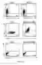 Fig. 02 - Activation and Expansion of T-Cells Using an Engineered Multivalent Signaling Platform as a Research Tool