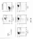 Fig. 06 - Activation and Expansion of T-Cells Using an Engineered Multivalent Signaling Platform as a Research Tool