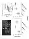 Fig. 22 - Production of fully functional mature beta cells from human pancreatic progenitors