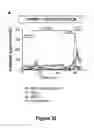 Fig. 28 - Production of fully functional mature beta cells from human pancreatic progenitors