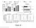 Fig. 40 - Production of fully functional mature beta cells from human pancreatic progenitors