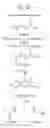 Fig. 60 - Production of itaconic acid