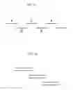 Fig. 02 - PEG-MEDIATED ASSEMBLY OF NUCLEIC ACID MOLECULES