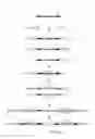 Fig. 02 - Method for generating double stranded DNA libraries and sequencing methods for the identification of methylated cytosines