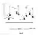 Fig. 05 - Systems and methods for multiplex analysis of PCR in real time