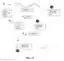 Fig. 11 - Systems and methods for multiplex analysis of PCR in real time