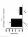 Fig. 06 - Nanovesicles derived from genus bacteria and use thereof