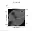 Fig. 24 - Systems and methods for genetic and biological analysis