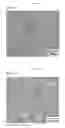 Fig. 02 - Seamless steel pipe and method for producing same