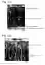 Fig. 02 - Hard coating, hard-coated tool, and their production methods