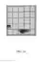 Fig. 17 - Method for making semimetal compound of Pt
