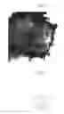 Fig. 02 - Fiber-containing crystal, method of preparing fiber-containing crystal, apparatus for preparing fiber-containing crystal, and medicine soaking apparatus