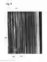 Fig. 08 - ARTIFICIAL TURF WITH MARBLED MONOFILAMENT