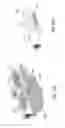 Fig. 22 - Apparatuses and Methods for Fiber Rolls