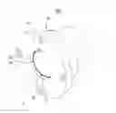 Fig. 01 - Air foil bearing assembly