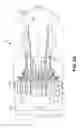 Fig. 05 - Boot assembly for a constant velocity joint