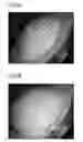 Fig. 09 - Check valve