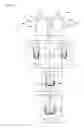 Fig. 06 - Lighting fixture for vehicle