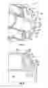 Fig. 06 - W501D5/D5A DF42 combustion system
