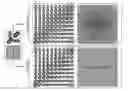 Fig. 01 - Resolution enhancement of diffusion imaging biomarkers in magnetic resonance imaging