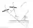Fig. 01 - Crop classification and growth tracking with synthetic aperture radar