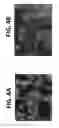 Fig. 08 - Highly reflective microcrystalline/amorphous materials, and methods for making and using the same