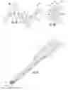Fig. 03 - Hinged optical fiber ribbon moveable between aligned and collapsed positions