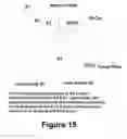Fig. 12 - Optical assembly for a wide field of view camera with low TV distortion