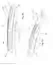 Fig. 07 - Glasses provided with a light source, system comprising such glasses and a glasses case for such glasses